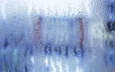 How Humidity Affects Your Home’s Comfort in East Texas